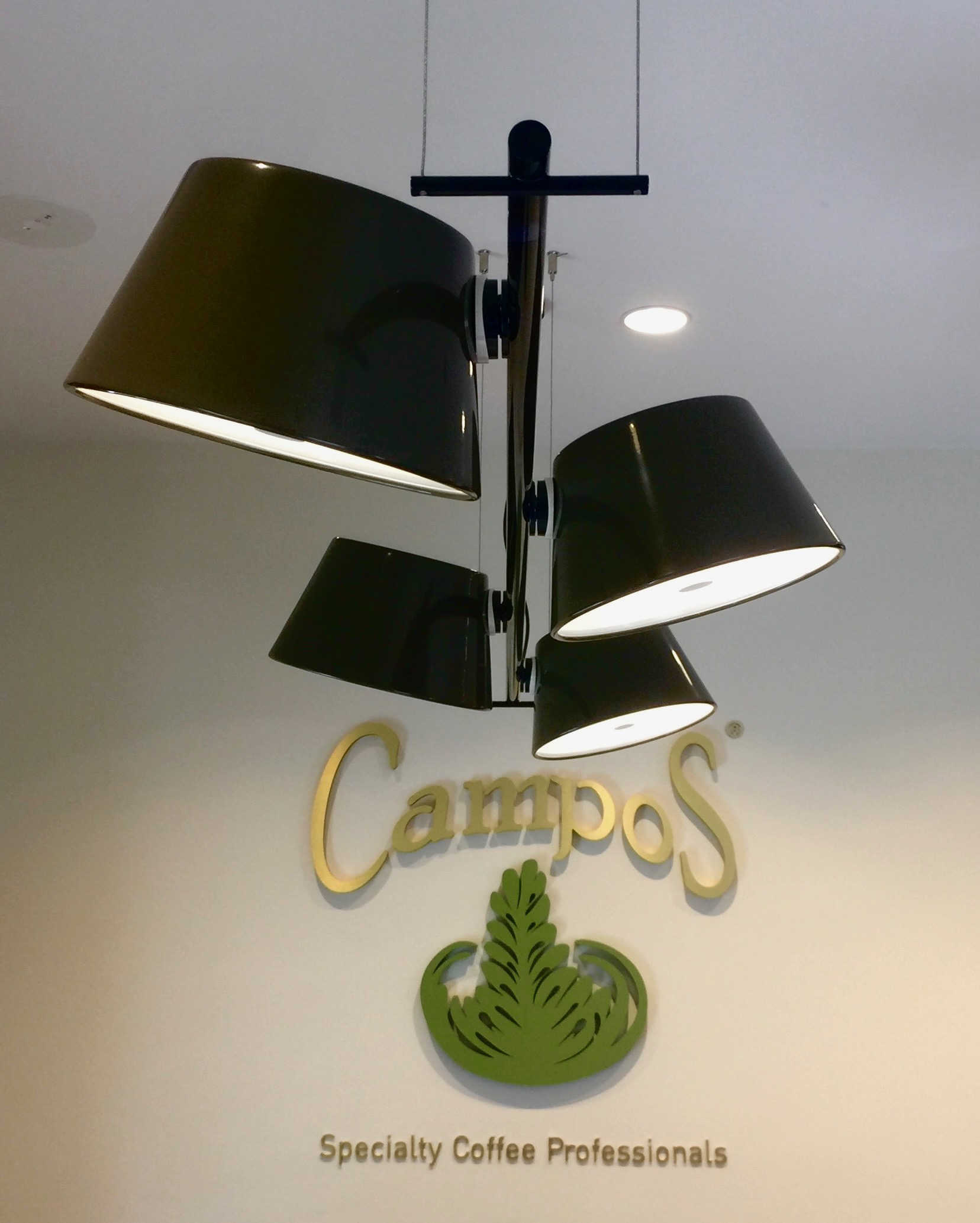 Campos 2